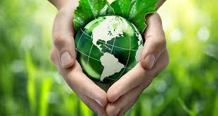 TIPS PARA CONSERVAR EL MEDIO AMBIENTE 