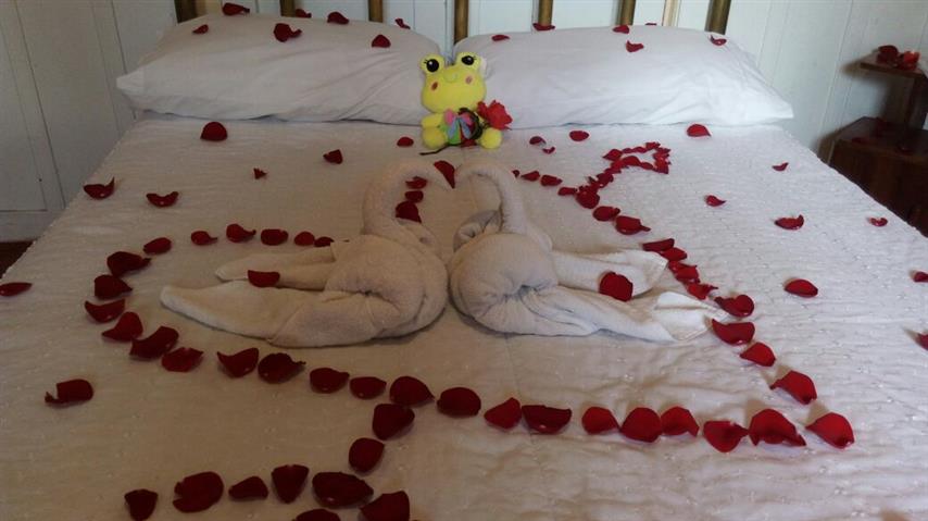 Plan Romántico Finca Típica Cócora