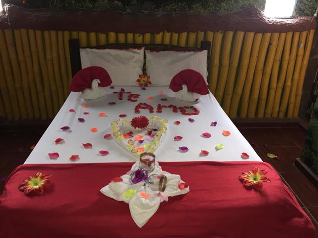 Plan Romántico Bosque Encantado No A1