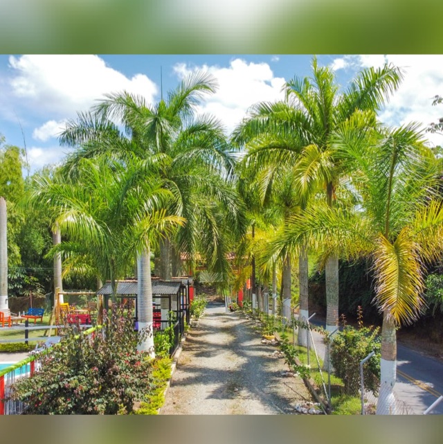 Plan Romantico Finca Hotel en el Quindio No A 18