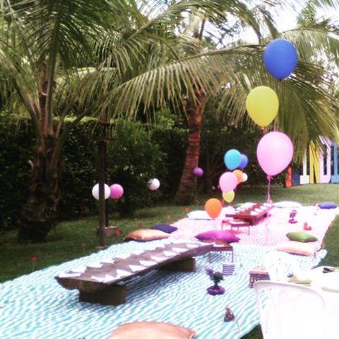 Plan Picnic Romantico No E 3